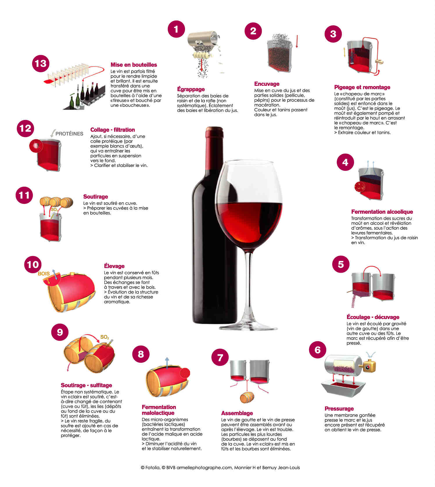 Comment est fait le vin rouge ?